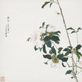 Insetos e Flores III — Lian, Ju