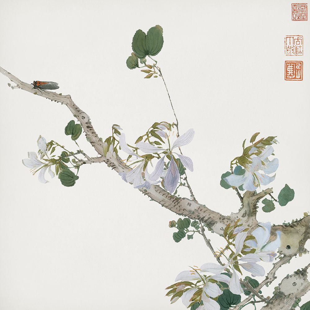 Insetos e Flores IV — Lian, Ju
