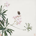 Insetos e Flores V — Lian, Ju
