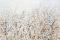 Ramo de Flores Silvestres I — OToole, Tim