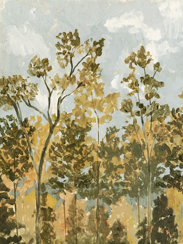 Beira da Floresta I 2 — Barnes, Victoria