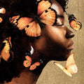 Borboleta Dourada II — Saunders, Alonzo