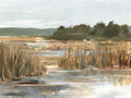 Gramíneas do Pantanal II — Harper, Ethan