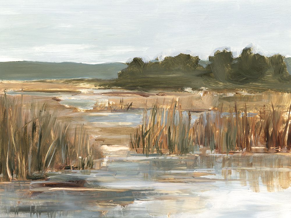 Gramíneas do Pantanal II — Harper, Ethan