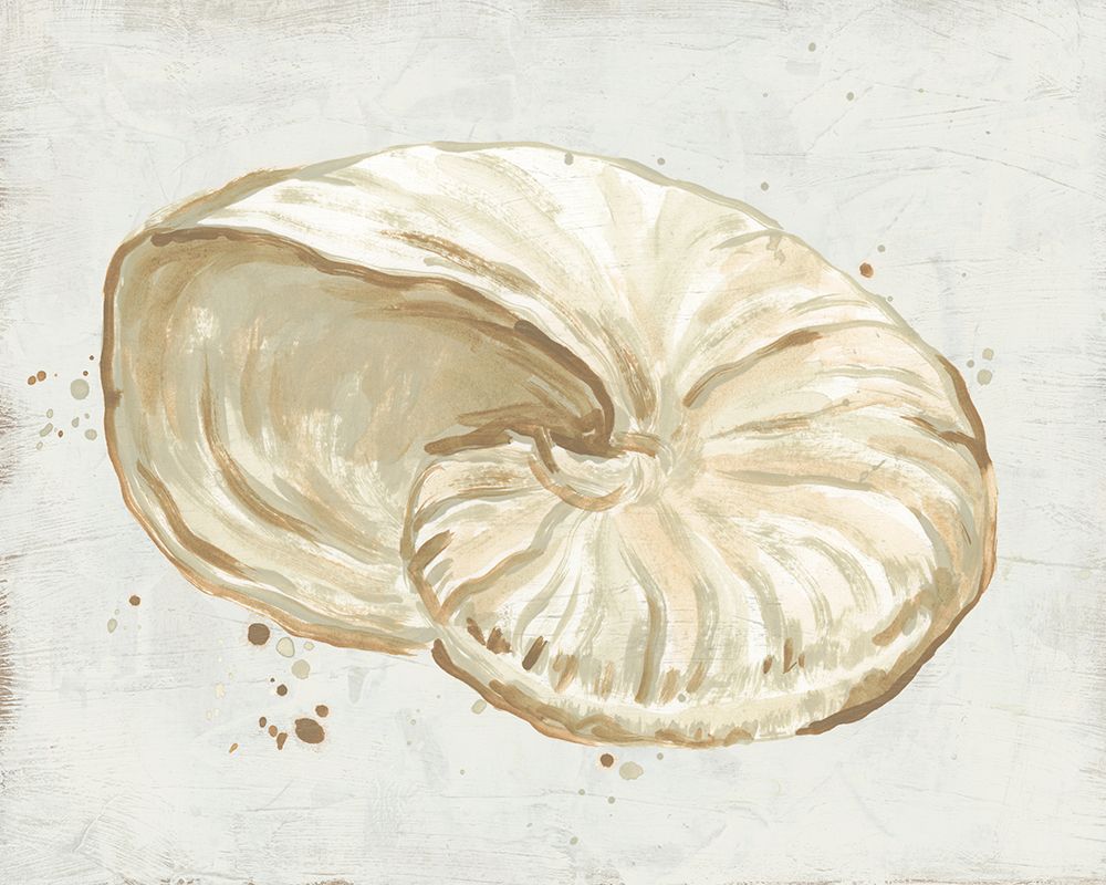 Afresco de Conchas em Tons Neutros I — Vess, June Erica