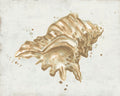 Afresco de Conchas em Tons Neutros III — Vess, June Erica
