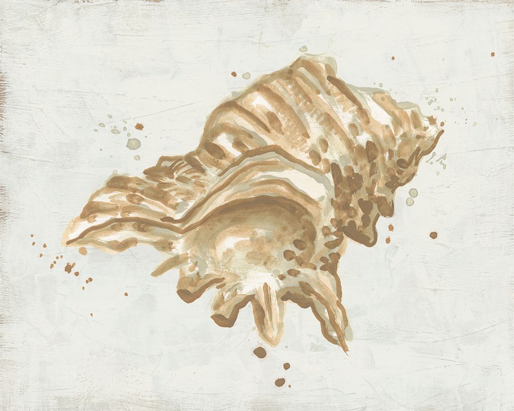 Afresco de Conchas em Tons Neutros III — Vess, June Erica