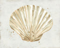 Afresco de Conchas em Tons Neutros IV — Vess, June Erica