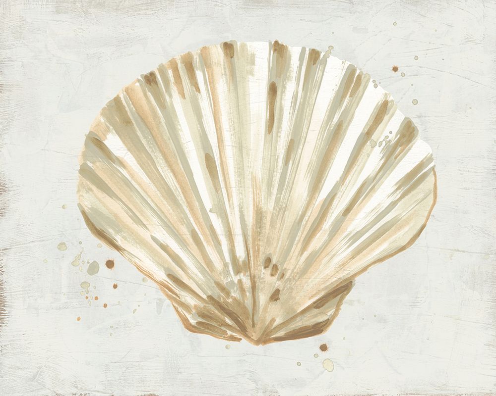 Afresco de Conchas em Tons Neutros IV — Vess, June Erica