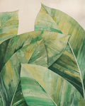 Profundidade Tropical I — Popp, Grace
