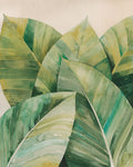 Profundidade Tropical II — Popp, Grace