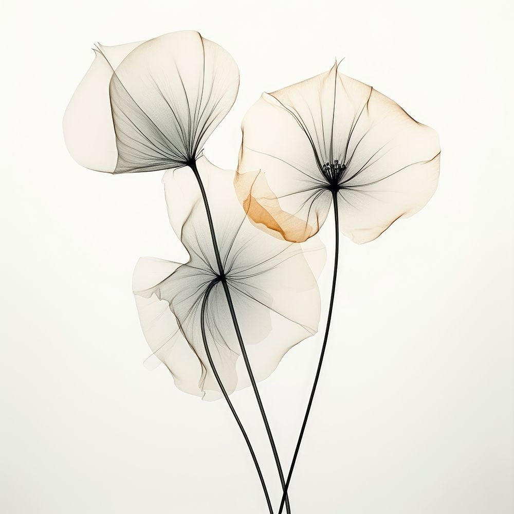 Sinfonia em Flor II — Orlov, Irena