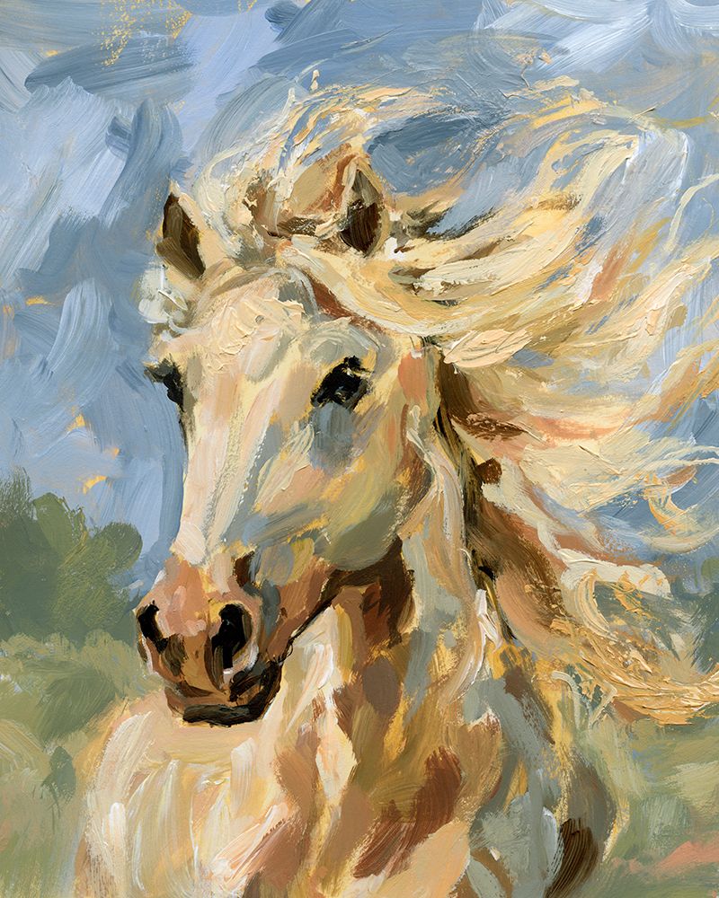 Palomino ao Vento II — Barnes, Victoria