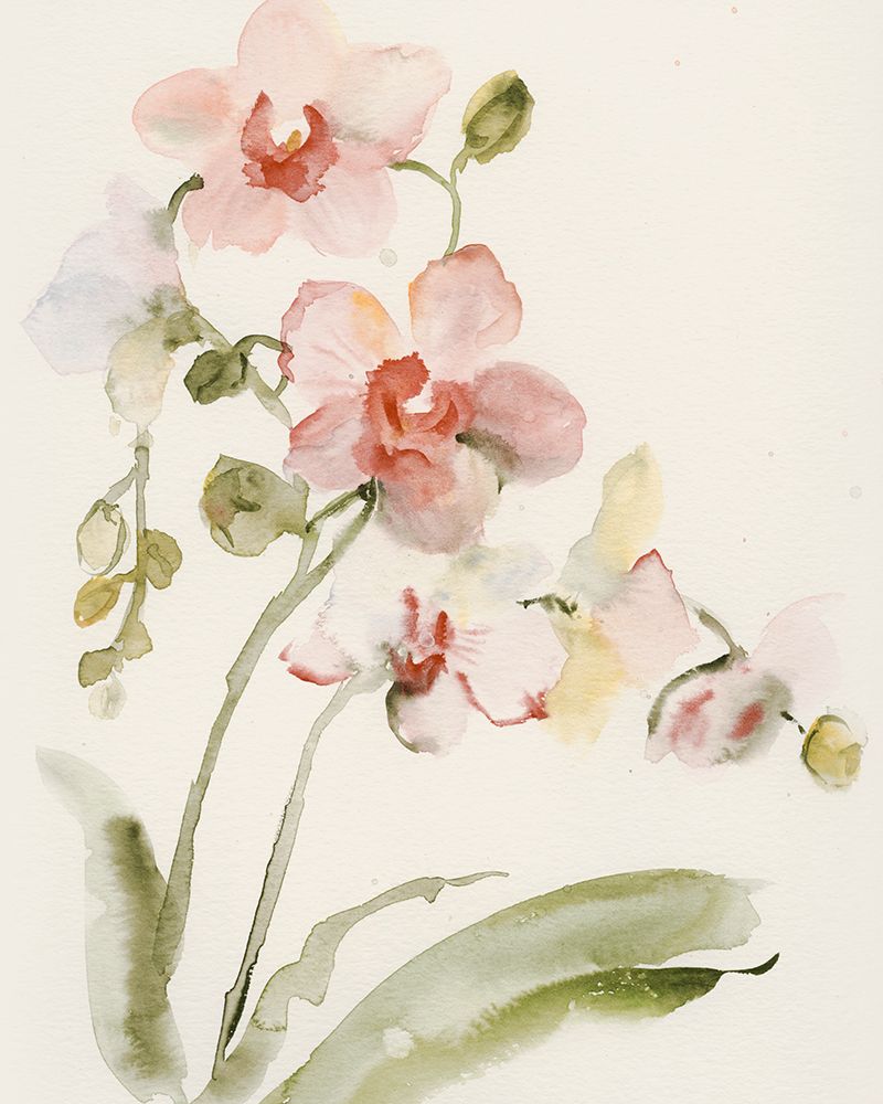 Orquídea de Outono I — Barnes, Victoria