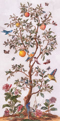 Aviário Cítrico II — Wang, Melissa