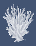 Coral 17 Branco em Índigo Azul — Fab Funky