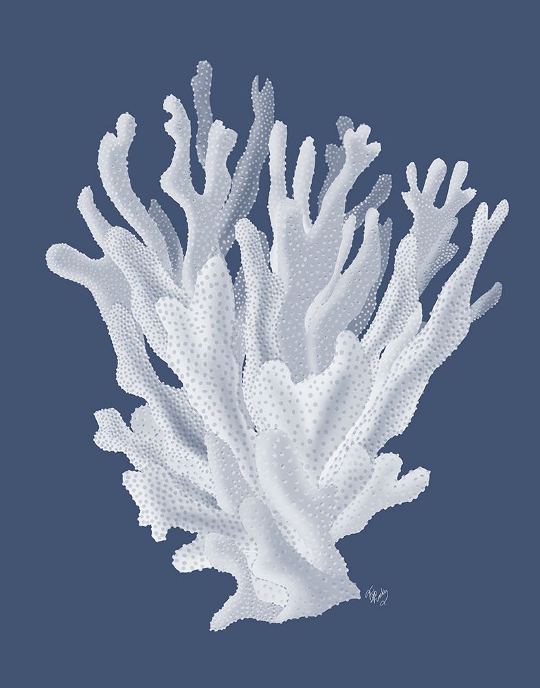 Coral 17 Branco em Índigo Azul — Fab Funky