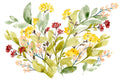 Ramos de Primavera 1 — coleção A — Goldberger, Jennifer
