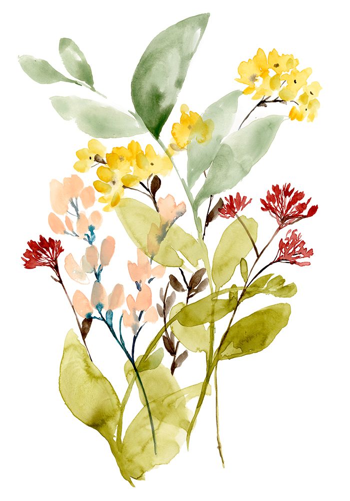 Ramos de Primavera 2 — coleção B — Goldberger, Jennifer