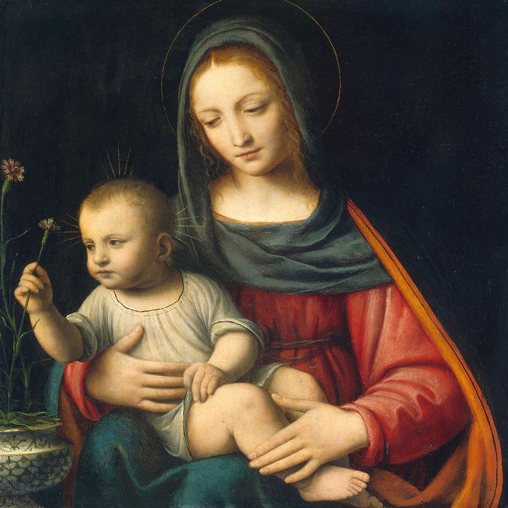 Madonna of the Carnation — Luini, Bernardino