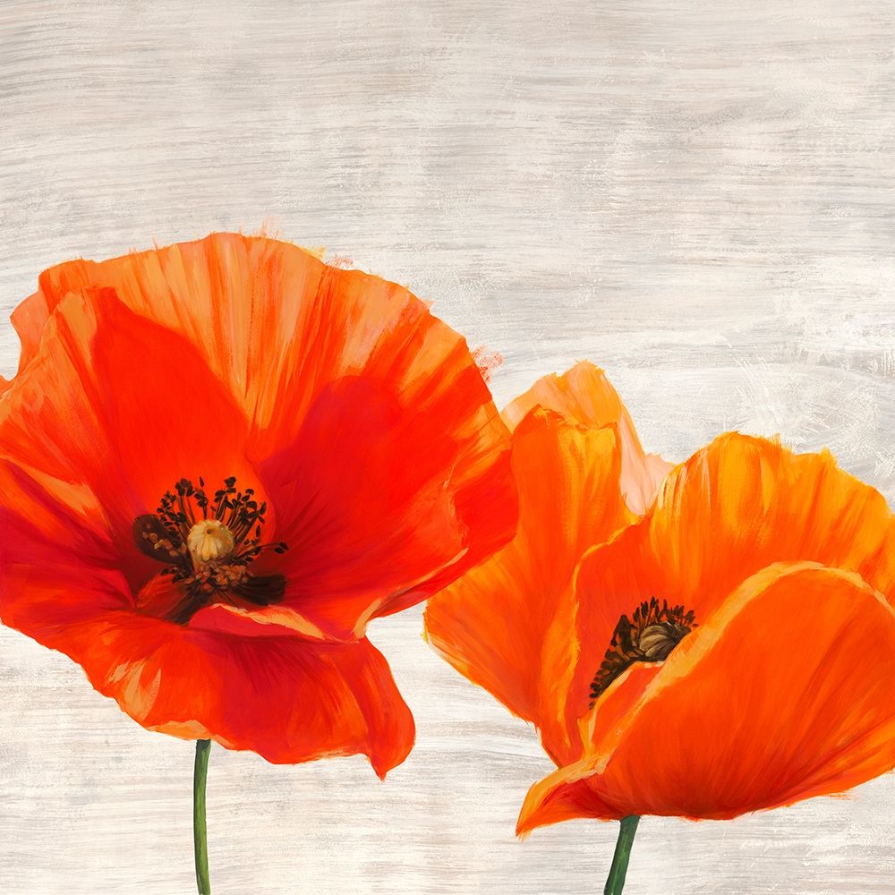 Bright Poppies I — Thomlinson, Jenny