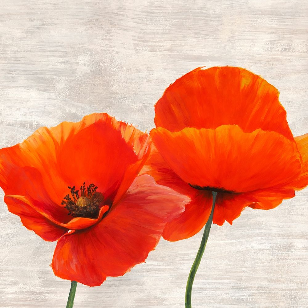 Bright Poppies II — Thomlinson, Jenny