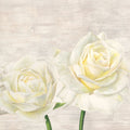 Classic Roses I — Thomlinson, Jenny