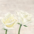 Classic Roses II — Thomlinson, Jenny