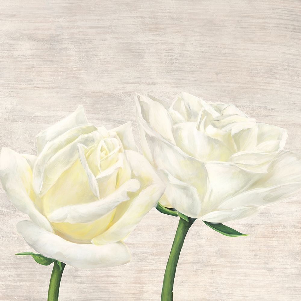 Classic Roses II — Thomlinson, Jenny