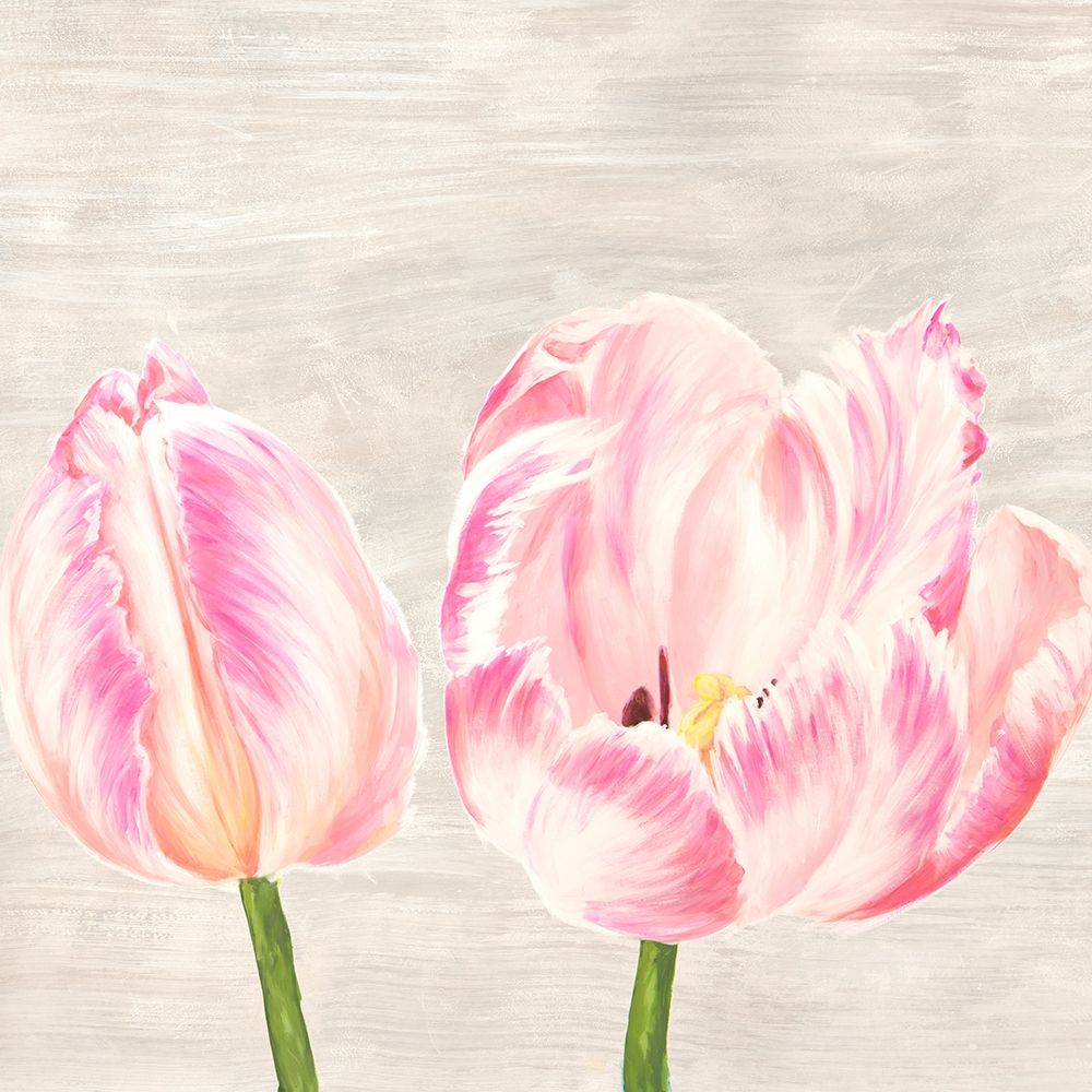 Classic Tulips I — Thomlinson, Jenny