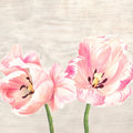 Classic Tulips II — Thomlinson, Jenny