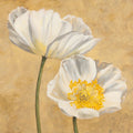 Poppies on Gold II — Villa, Luca
