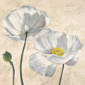 Poppies in White I — Villa, Luca