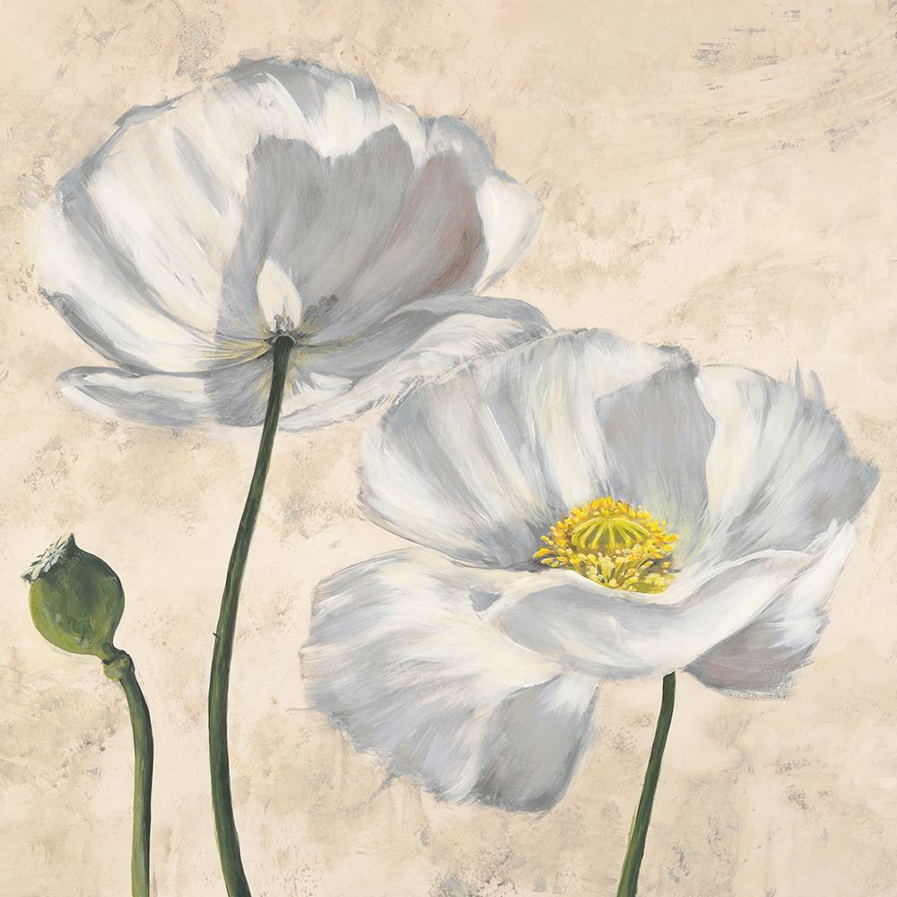Poppies in White I — Villa, Luca