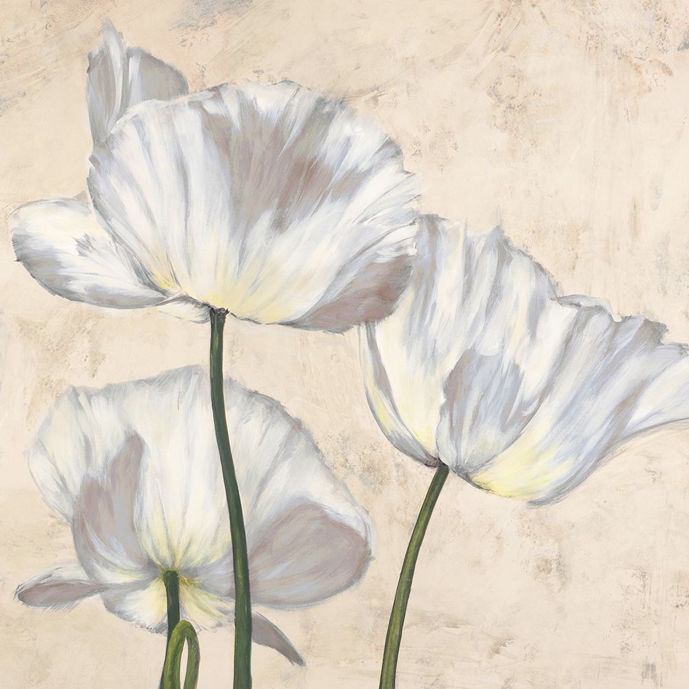 Poppies in White II — Villa, Luca