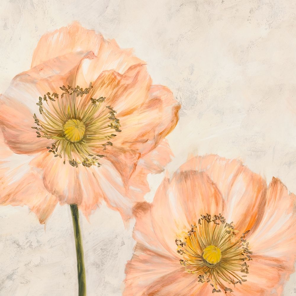 Poppies in Pink I — Villa, Luca