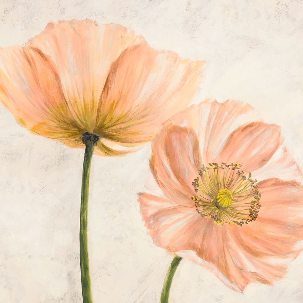 Poppies in Pink II — Villa, Luca