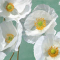 Poppies on Mint I — Sanna, Leonardo