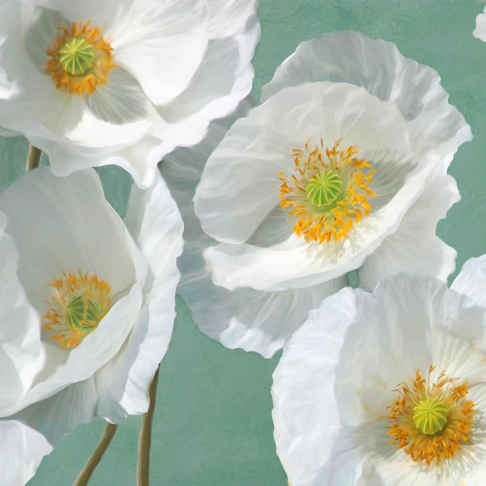 Poppies on Mint I — Sanna, Leonardo