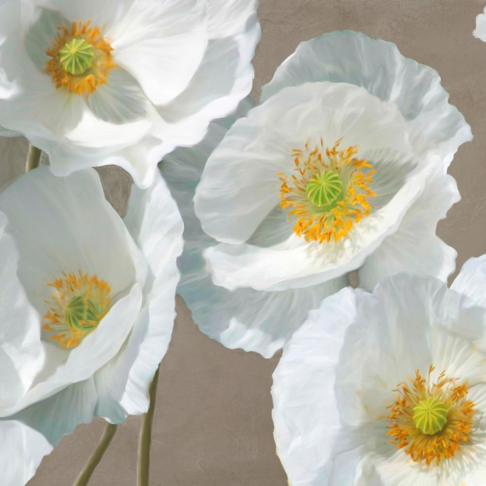 Poppies on Taupe I — Sanna, Leonardo