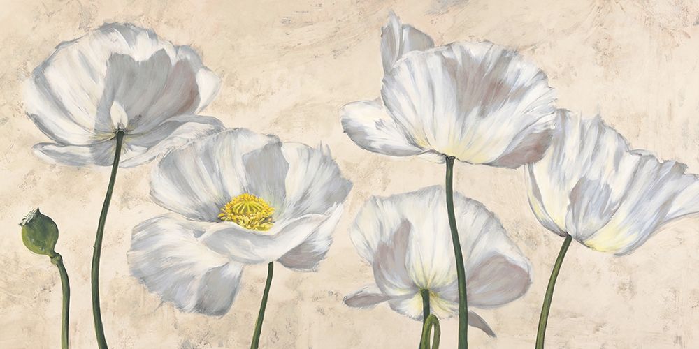 Poppies in White — Villa, Luca
