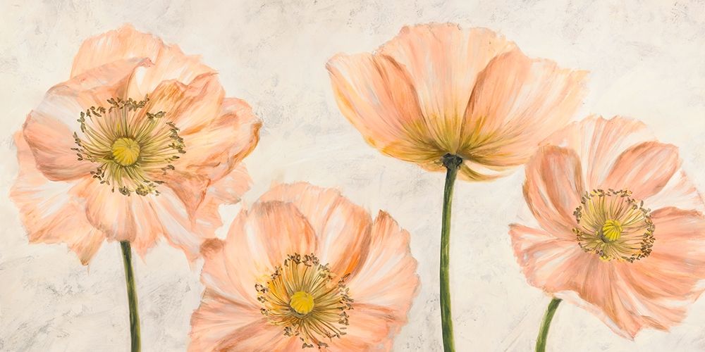 Poppies in Pink — Villa, Luca