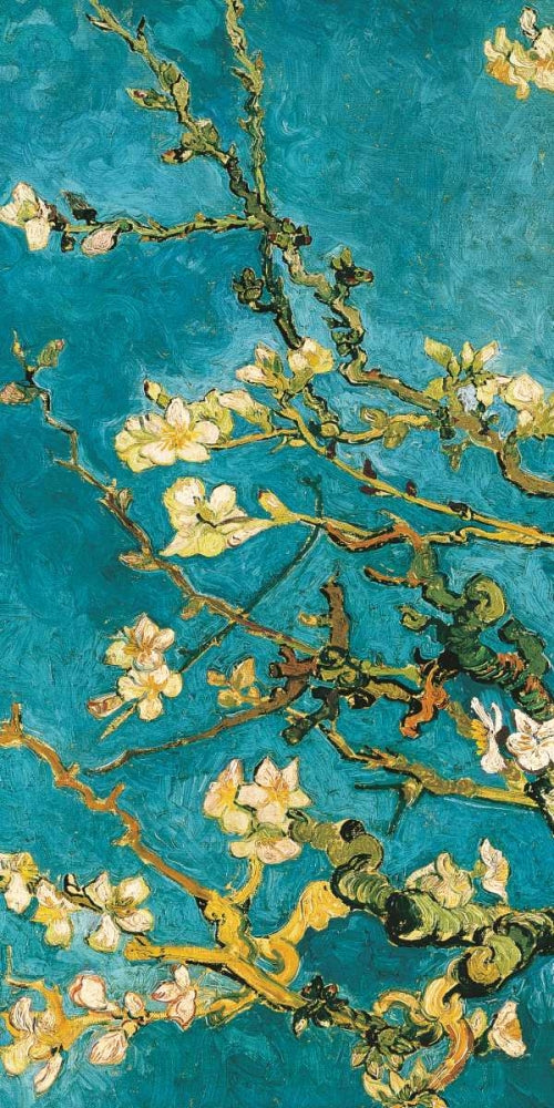 Mandorlo in fiore I 2 — Van Gogh, Vincent