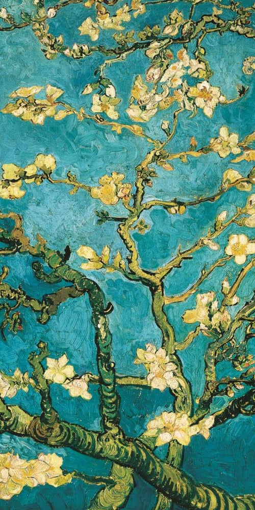 Mandorlo in fiore II 1 — Van Gogh, Vincent