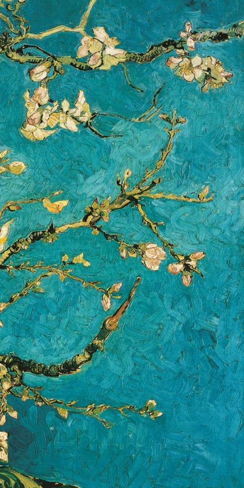 Mandorlo in fiore III 1 — Van Gogh, Vincent