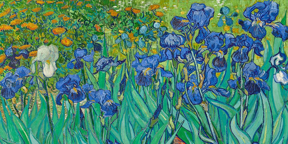 Irises (detalhe) I — van Gogh, Vincent