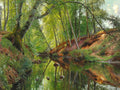 A stream in the forest — Monsted, Peder Mork