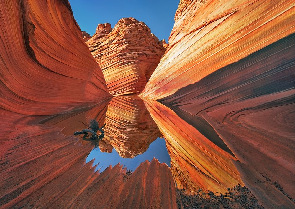 The Wave in Vermillion Cliffs, Arizona — Krahmer, Frank