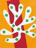 Algue blanche, 1947 — Matisse, Henri