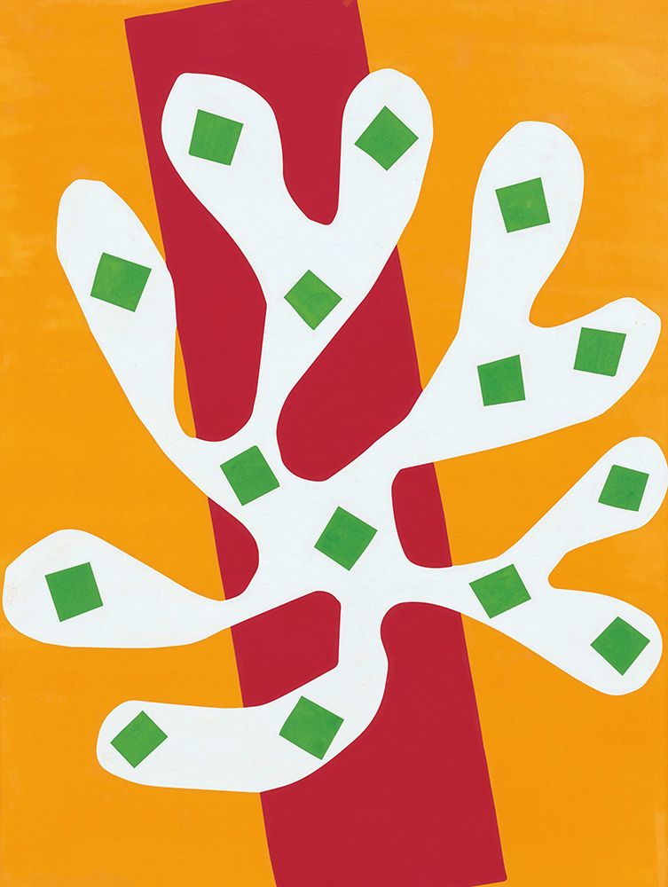 Algue blanche, 1947 — Matisse, Henri